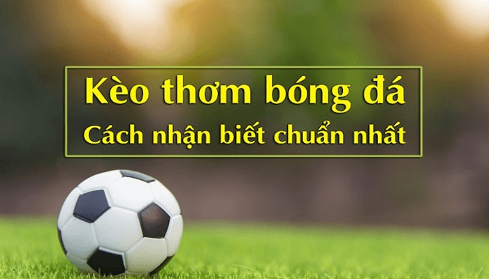 Bí Quyết Bí Quyết