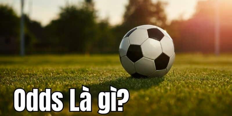 Odds là gì - Giải Mã Bí Mật Tỷ Lệ Cược Ứng Dụng Thực Tế Odds là gì - Giải Mã Bí Mật Tỷ Lệ Cược Ứng Dụng Thực Tế